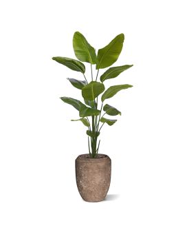 Artificial Strelitzia Nicolai plant 175cm