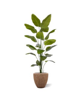 Artificial Strelitzia Nicolai plant 225cm