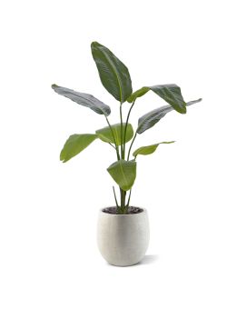 Artificial Strelitzia Nicolai plant 120cm