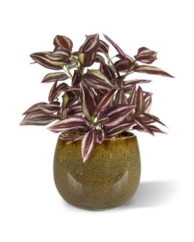 Artificial Tradescantia burgundy 18cm