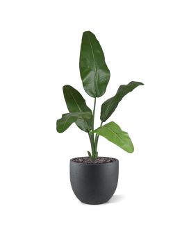 Artificial Traveller Palm 100 cm