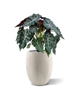 Red Alocasia artificial plant 75 cm