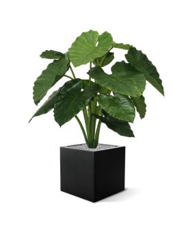 Artificial Alocasia Calidora 80cm