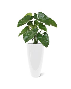 Artificial Alocasia Calidora plant 70 cm (bush)