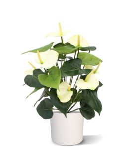 Faux Anthurium Deluxe creme 50cm