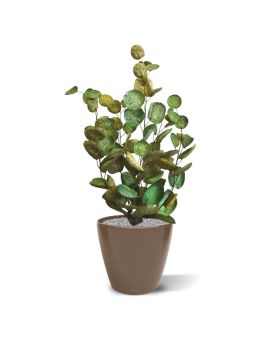 Aralia Polyscias artificial plant 60 cm
