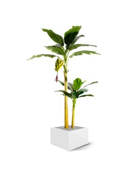 Artificial Banana Palm tree 240 cm