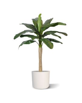 Artificial Banana Palm tree Promo 120 cm