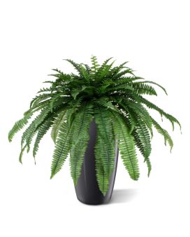 Artificial Boston Fern Giant D95 (bush)