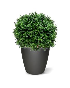 Artificial Boxwood Ball Deluxe 60cm UV