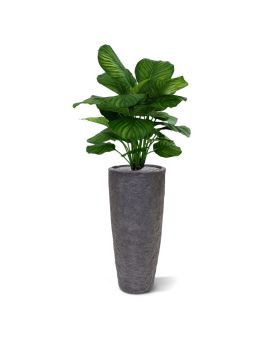 Artificial Calathea Fasciata 80cm