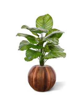 Calathea Fasciata artificial plant 70 cm