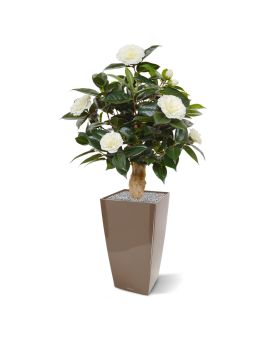 Artificial Camelia plant 65 cm on base cream