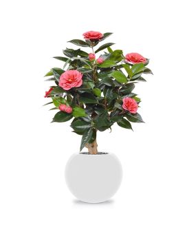 Artificial Camelia plant 65 cm pink