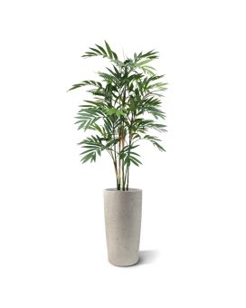 Artificial Chamaedorea Palm Deluxe 150 cm