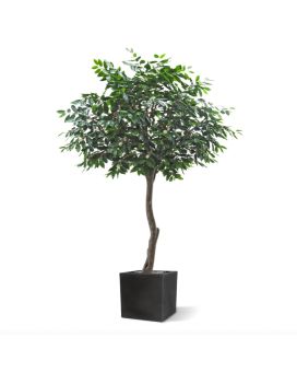 Artificial Coffee Arabica Giant Tree 320 cm