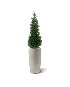 Artificial Cypress Deluxe 120 cm UV