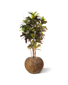 Artificial Croton Deluxe tree 130 cm