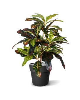 Artificial Croton Windowplant 50cm