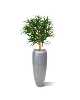 Artificial Draceana Reflexa Anita 95 cm
