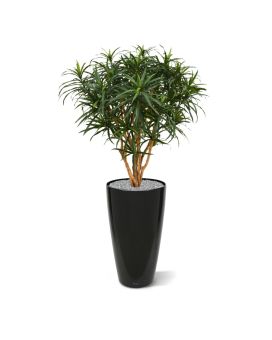 Artificial Draceana Reflexa Anita XL 120 cm
