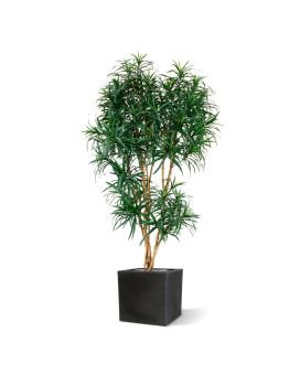Artificial Draceana Reflexa XL 190 cm green