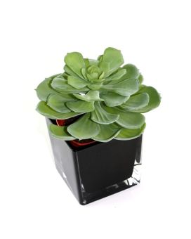 Artificial Echeveria succulent 16cm