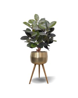 Artificial Elastica Robusta plant 95cm green