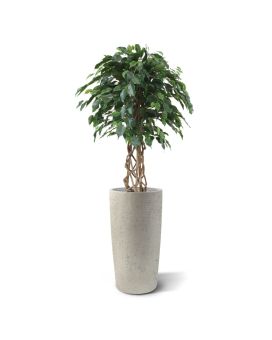 Artificial Ficus Exotica ball 125 cm