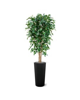Artificial Ficus Exotica Deluxe 180 cm green