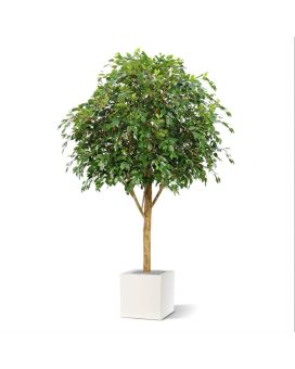 Fire retardant Ficus Exotica Giant 290 cm artificial tree