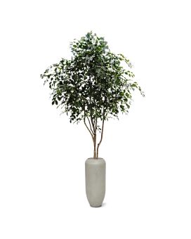 Large Artificial Ficus Exotica tree 330 cm