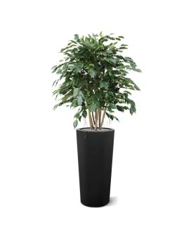 Ficus Exotica XL 110 cm artificial plant