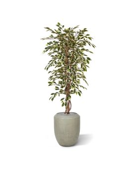 Ficus Hawai artificial tree 150 cm