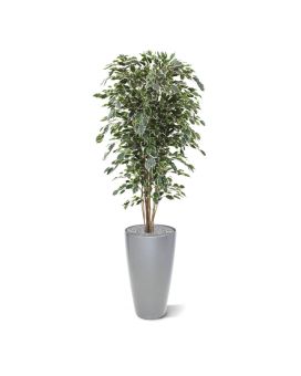 Artificial Ficus Exotica Deluxe 180 cm variegated