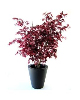 Acer Maple Y deluxe 160cm burgundy
