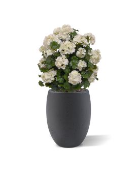 Artificial Geranium ball plant 50cm UV cream
