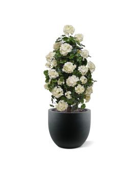 Artificial Geranium pyramid 110cm plant UV Cream