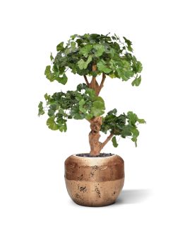 Artificial Ginkgo Bonsai deluxe tree 95 cm
