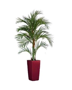 Artificial Areca Palm Tree Deluxe 180cm