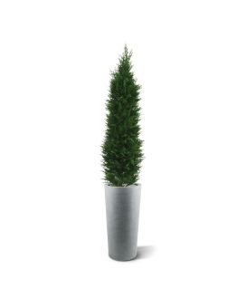 Artificial Cypress tree Deluxe 150 cm UV