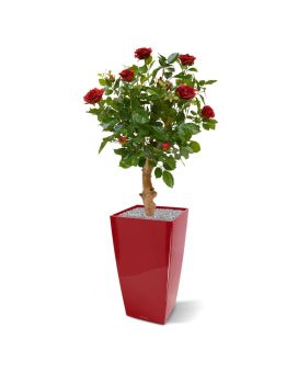 Artificial Rose plant on trunk 75 cm red