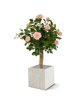 Artificial Rose on trunk 75 cm pink