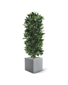 Artificial Laurel Bay column tree 125 cm anti-UV