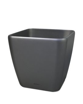 Lechuza Quadro ornamental planter 50x50x47 cm anthracite