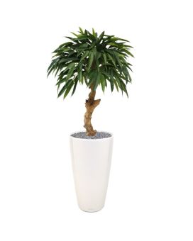 Artificial Longifolia Royal 90 cm on Trunk