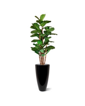 Lyrata deluxe artificial tree 165 cm