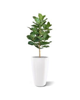 Lyrata Royal artificial plant 90 cm
