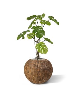 Monstera artificial plant 90 cm