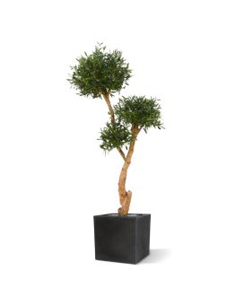 Artificial Olive Bonsai Deluxe x3 160 cm